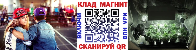 Альфа ПВП Мурино