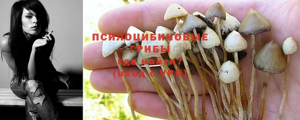ECSTASY Абаза